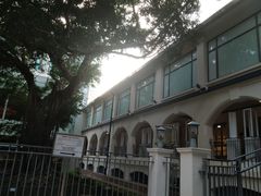 -九龙公园