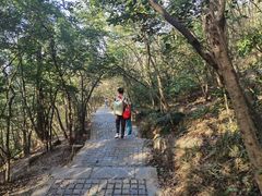 -紫金山索道-售票处