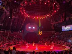 -俄罗斯国家大马戏团