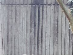 -成都大熊猫繁育研究基地