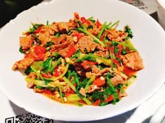 香菜炒牛肉-壹盏灯(蚂蚁工房店)