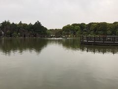 -上海鲜花港
