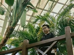 -石家庄市植物园