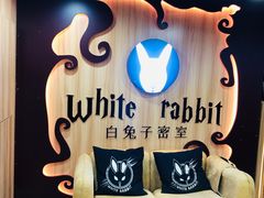 -白兔子密室(长寿路店)