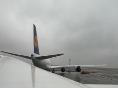 -全日本空输株式会社(上海办事处)