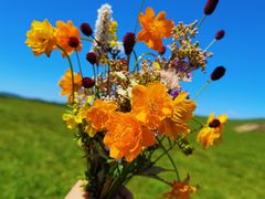 -塞罕坝国家级自然保护区