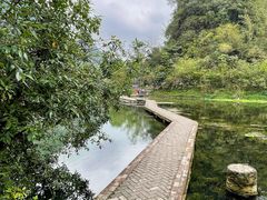 -靖西鹅泉风景区