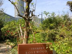 -瑰丽酒店·海吧·天际下午茶·现场DJ·天台酒吧