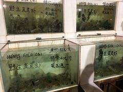 -海盗餐厅