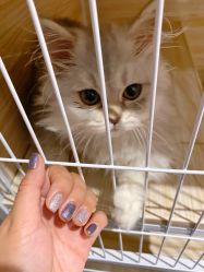 -Beauty Nails 美甲美睫皮肤管理