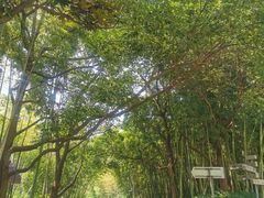 -苏州河梦清园环保主题公园