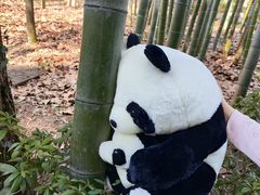 -兰亭风景区