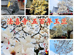 -杭州上天竺法喜讲寺