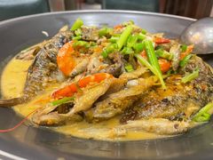 -饭怕鱼·黄焖鲟龙鱼(湖大店)