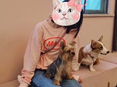 -浣熊柯尔鸭土拨鼠·电玩咖