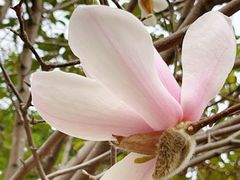 -白塘生态植物园