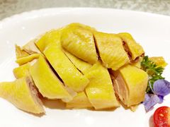 白切绍兴墩鸡-绍兴饭店(大宁店)