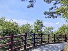 -羚羊峡古栈道森林公园