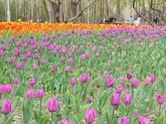 -长春公园(普阳街道)