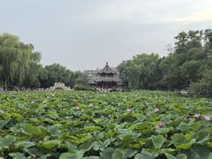 -莲池书院博物馆