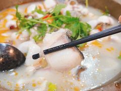 -大鼎石锅鱼(春江里店)