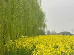 -嘉北郊野公园