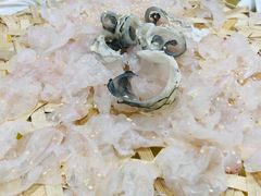 -官塘陈记鱼生·潮汕砂锅粥·牛肉火锅(潮枫路总店)