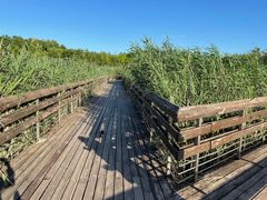 -马家湾湿地公园