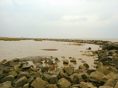 -南汇嘴观海公园