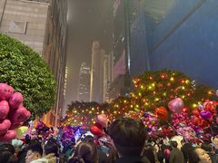 -重庆两江夜游-交运系列