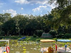 -东南花都花博园