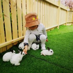 -萌宠亲子动物乐园(槐房万达店)