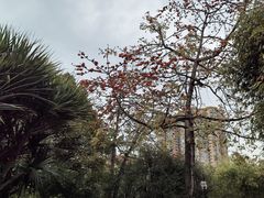 -晓港公园