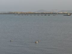 -烟墩角天鹅湖