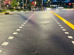 -新加坡柏薇罗切斯特酒店