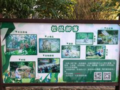 -南丹山森林王国