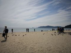 -海云台海滩