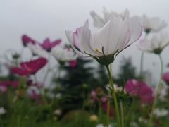 -汇泉广场