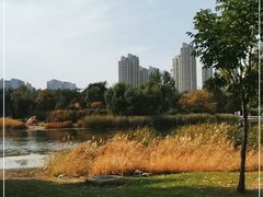 -群力丁香公园