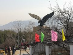 -北京鹫峰国家森林公园