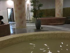 -加林娜泥浴水疗