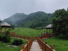 -白草畔自然风景区