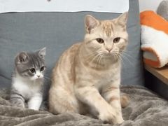 -巧云大馄饨(南阴阳营总店)