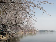 -颐和园