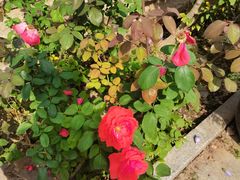 -天毓山庄·餐厅