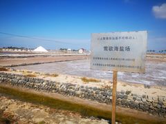 -莺歌海盐场