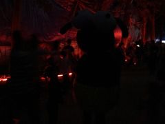 -青山公园萤火虫科普展