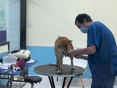 -天宠宠物医院24小时·急重症诊疗中心·全科·腔镜特色(和平分院)