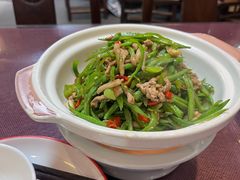砂锅芸豆丝-陈厨(新苑小区店)