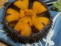 -桂马·日本料理·海胆·海鲜饭·酒场(民主广场店)